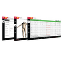 Schiller Cardiovit AT-102 G2 EKG Electrocardiograph  - Perfect for GPs, Clinics and Hospitals. w/Training Included!